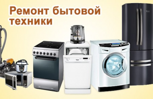 Абсолютно все: ремонт холодильников, стиральных, пылесосов, микроволновок, утюгов и прочее.
